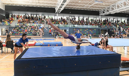 Gimnàstica artística femenina masculina
