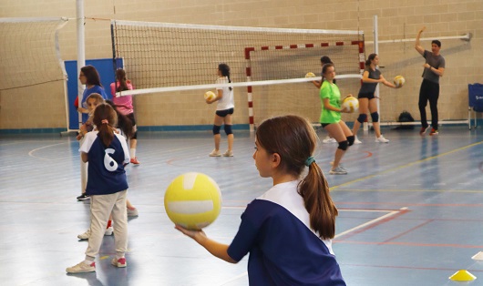 Voleibol