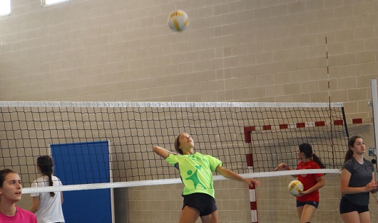 Escola de Voleibol