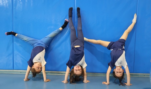 Gimnàstica Artística