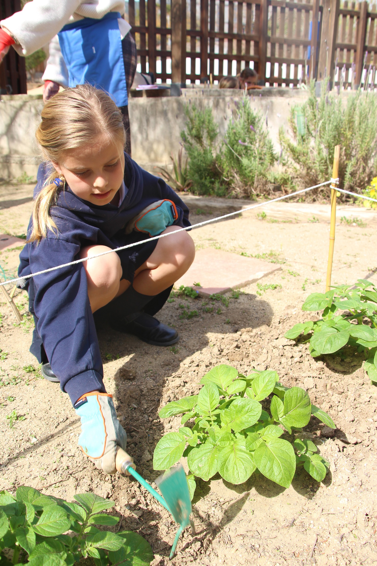 Projecte Hort 2