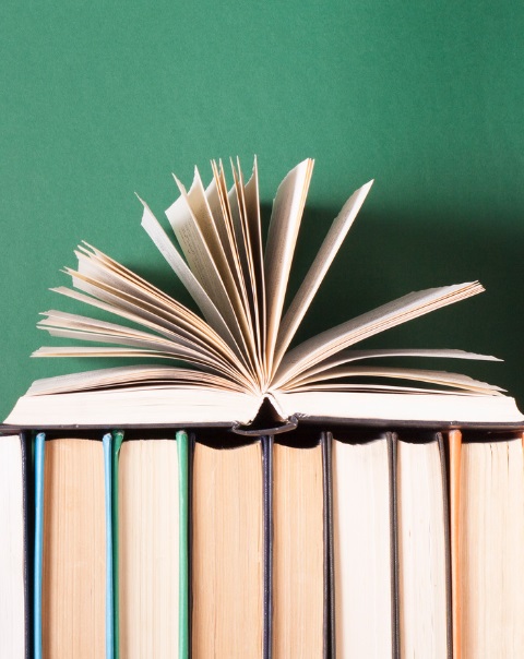 foto-comissio-de-llibres